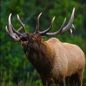 Meet your Posher, Jeff